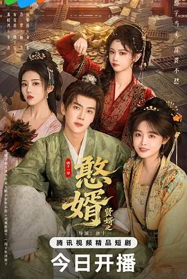 贤婿之憨婿