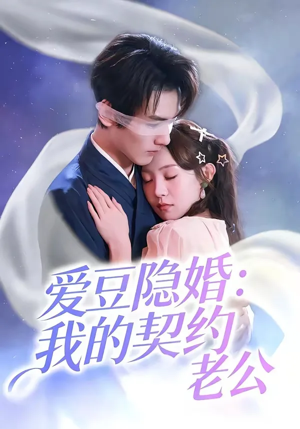 爱豆隐婚：我的契约老公